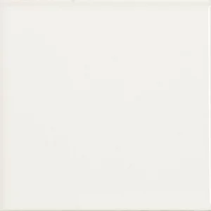 Azulejo cerámico Blanco Mate 20×20 cm €/m²